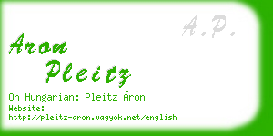 aron pleitz business card